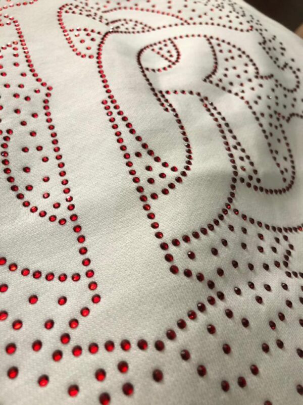 ROBERTO CAVALLI IMPORTED SWEATSHIRTS