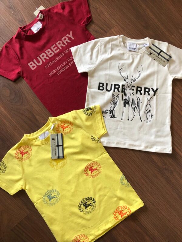 BURBERRY IMPORTED T-SHIRTS FOR ( UNISEX )
