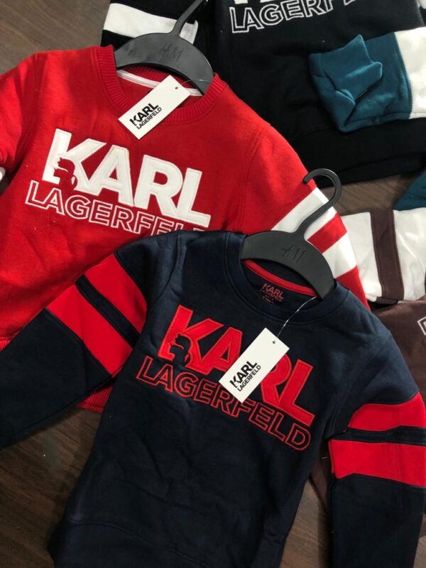  PREMIUM SWEATSHIRTS FOR KIDS